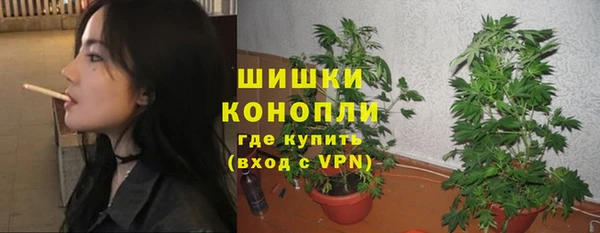 дмт Новодвинск
