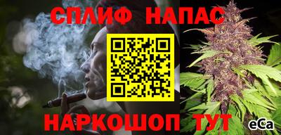 гашик Кинель