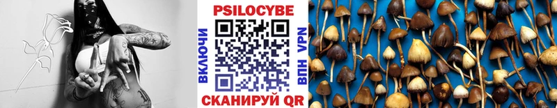 Псилоцибиновые грибы мицелий  Омск 