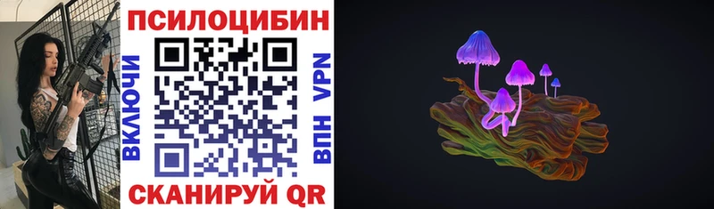 Галлюциногенные грибы Psilocybe Омск