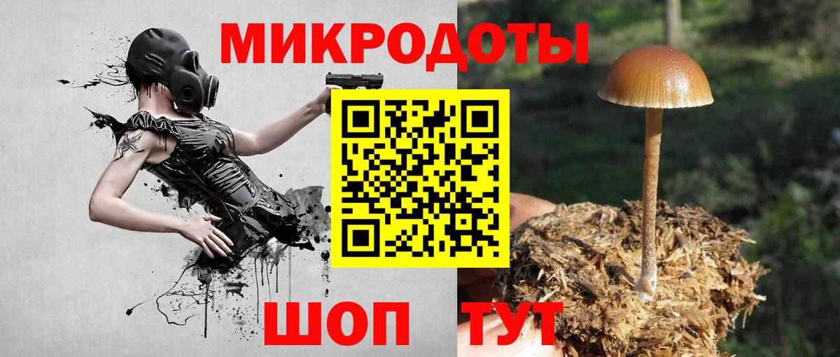 Псилоцибиновые грибы прущие грибы Омск