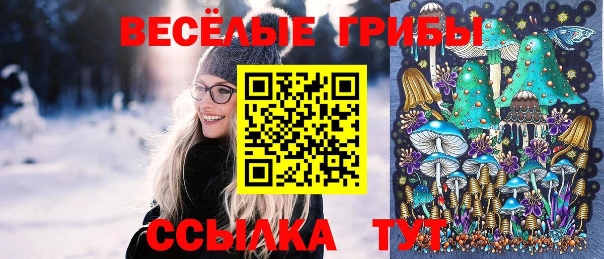 Омск  Галлюциногенные грибы GOLDEN TEACHER  Вход с VPN 